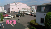 The Player